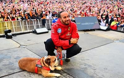 Hamilton perde Roscoe, buldogue que o acompanhou por 11 anos na F1