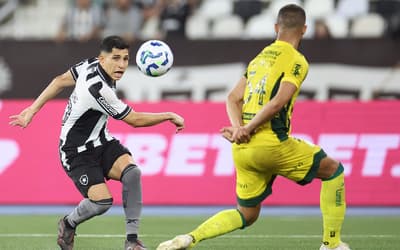 Botafogo mira recuperação para não se afastar da briga por vaga na Libertadores