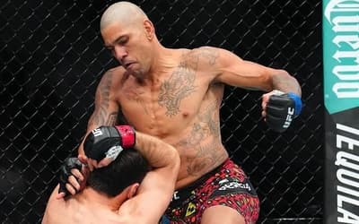 Gigantes da NBA comemoram com Poatan após título do UFC; veja