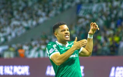 Atitude da torcida do Palmeiras em vitória contra o Santos viraliza