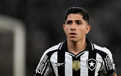 Savarino fez história com a camisa 10 do Botafogo (Foto: André Fabiano/Código19/Gazeta Press)