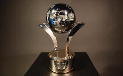 Troféu Roberto Dinamite - Artilheiro do Brasileirão