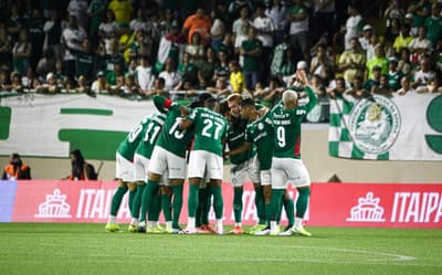 Reapresentação, Paulista e Brasileiro: confira a agenda do Palmeiras no mês de fevereiro