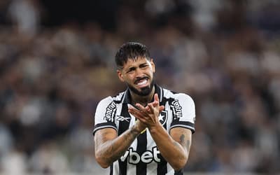 Torcedores do Fluminense pediram contratação de Barboza (Foto: Vítor Silva/Botafogo)