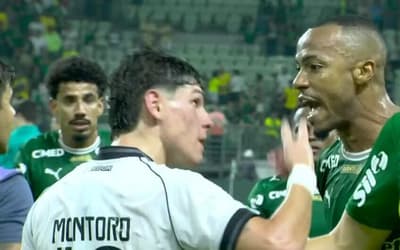 Marlon Freitas, do Palmeiras, se envolveu em confusão com jogadores do Botafogo (Foto: Reprodução/sportv)