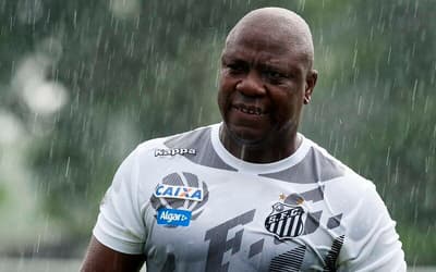 Arzul trabalhou durante mais de 30 anos no Santos. (Foto: Ivan Storti/Santos FC)