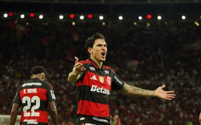 Veja gols em Flamengo x Vitória: Pedro decide para o mandante