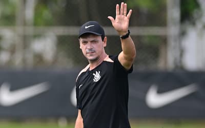 Fernando Diniz terá desfalques para o confronto (Foto: Eduardo Carmim/Photo Premium/Folhapress)