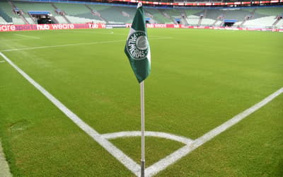 Cena bizarra em Palmeiras x Santos viraliza: 'Nunca vi isso'