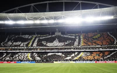 Mosaico da torcida do Botafogo no Nilton Santos (Foto: Vítor Silva/Botafogo)
