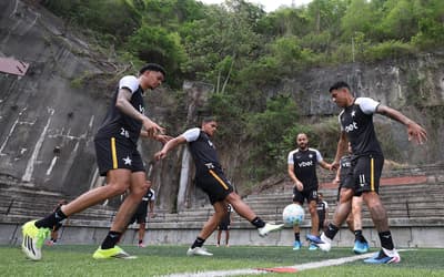Botafogo cresce e mira parte de cima do Brasileirão ao fim do primeiro semestre