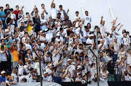 Torcida do Santos na Vila Belmiro (Foto: Ricardo Saibun / Santos FC)