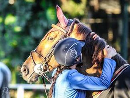 Entrada de cavalos no Brasil não será barreira para os europeus (Foto: Luis Ruas / Brasil Hipismo)