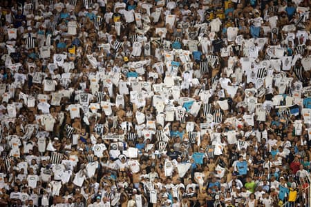 Torcida do Santos (Foto: Ari Ferreira/Lancepress!)
