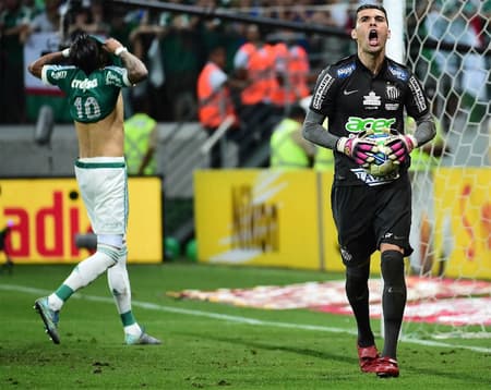 santos x palmeiras, vanderlei