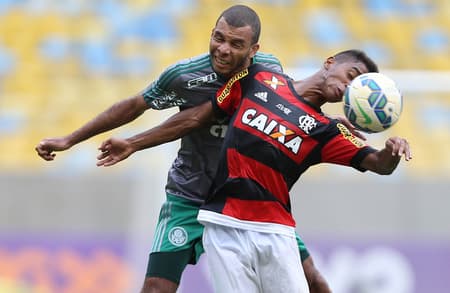 Flamengo x Palmeiras (Foto: Cleber Mendes/Lancepress!)