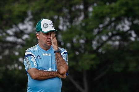 Marcelo Oliveira deixa o comando do Palmeiras (Foto: Marcello Zambrana/AGIF/Lancepress!)