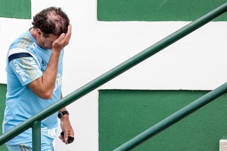 Treino do Palmeiras