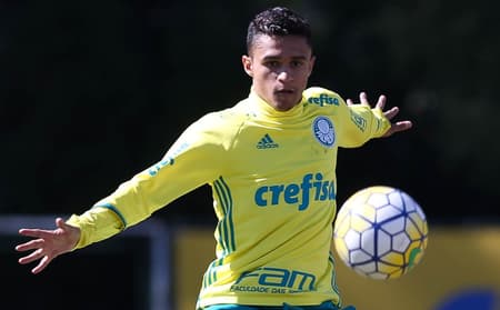 Erik tem só 16 jogos e um gol pelo Palmeiras até agora (FOTO: Cesar Greco/Palmeiras)