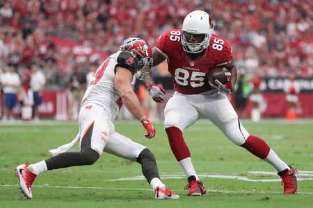 Arizona Cardinals x Tampa Bay Buccaneers