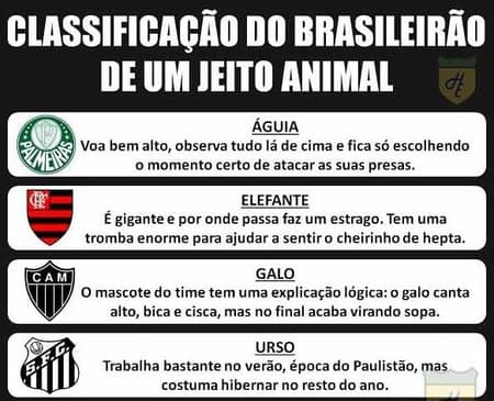 Classificação animal