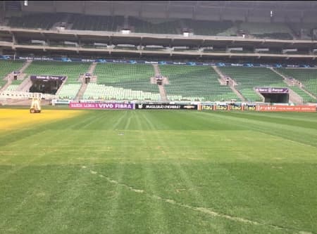 Gramado do Allianz Parque nesta sexta-feira (4)