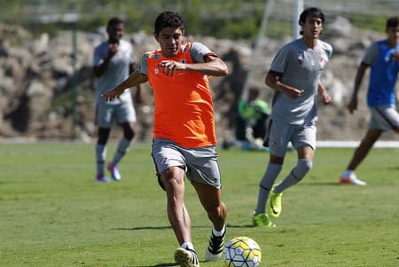 Edson não teve muitas chances no segundo turno do Brasileiro (Foto: Nelson Perez/Fluminense FC)