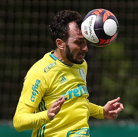 Treino do Palmeiras na Academia
