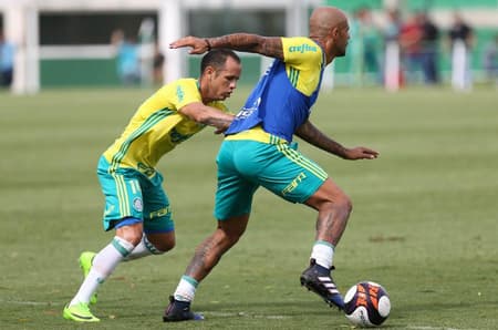 Guerra e Felipe Melo - Palmeiras