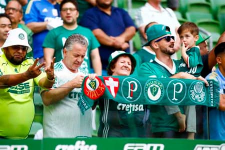 Palmeiras x Ferroviária (Torcida Palmeiras)