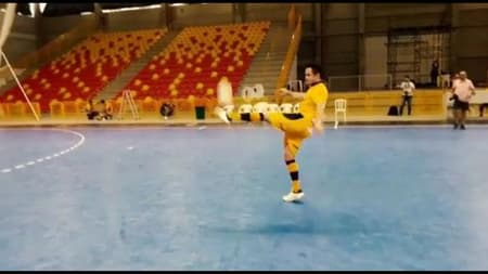 Falcão acerta bola no cesto de lixo