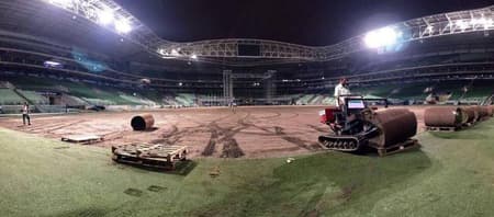 Novo gramado - Allianz Parque