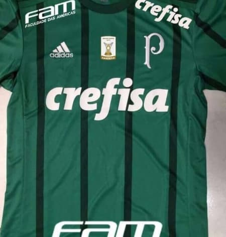 Camisa Palmeiras