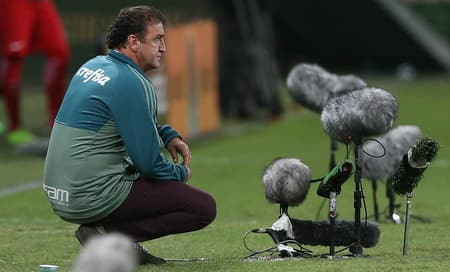 Cuca durante a vitória sobre o Inter (Foto: Cesar Greco/Palmeiras)