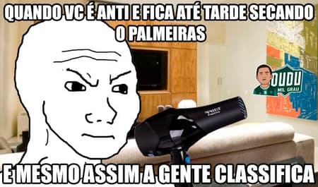 Torcedores do Verdão comemoraram a classificação nas redes sociais