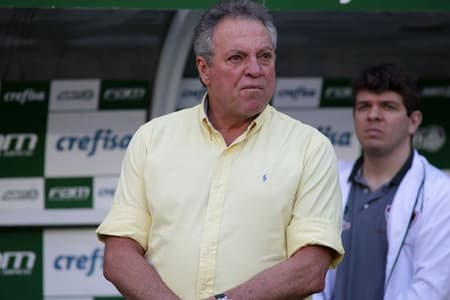Palmeiras 3 x 1 Fluminense: as imagens da partida em São Paulo