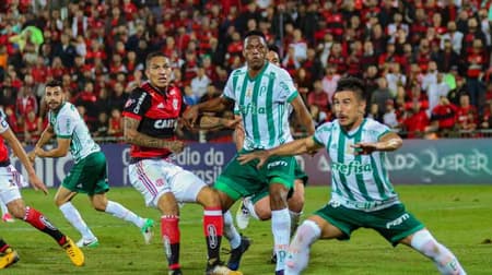 Flamengo x Palmeiras