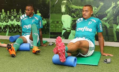 Fernando e Papagaio