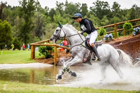 Jogos Equestres