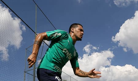 Gustavo Gómez