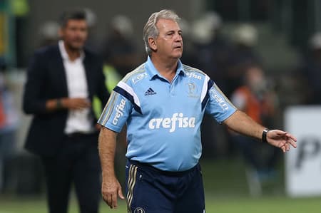 Tico dos Santos Palmeiras