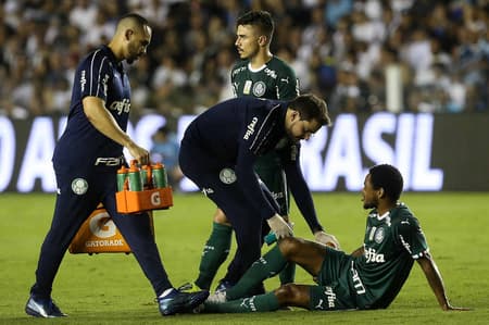 Luiz Adriano Palmeiras