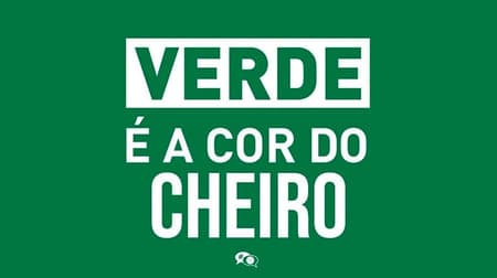 Web não perdoa Palmeiras após perda do título do Brasileirão