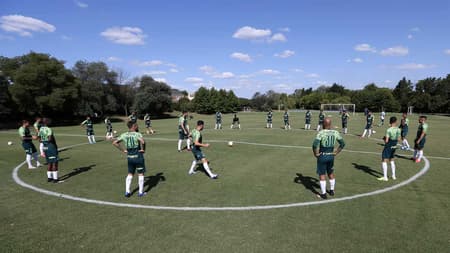 Palmeiras