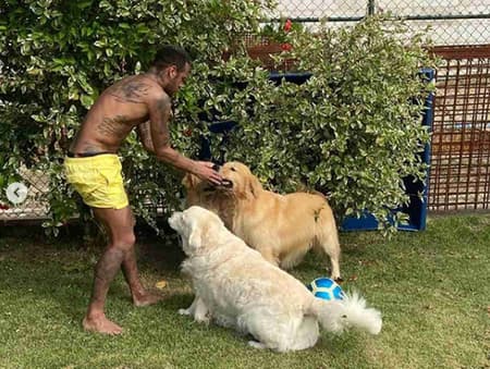 Neymar e seus cachorros