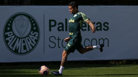 Dudu Palmeiras
