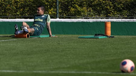 Dudu Palmeiras