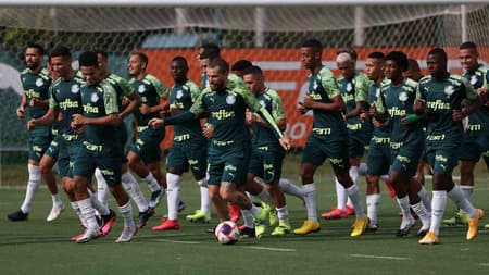 Palmeiras treino