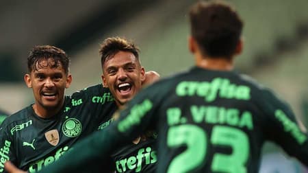 Palmeiras x Gremio - Comemoração Palmeiras