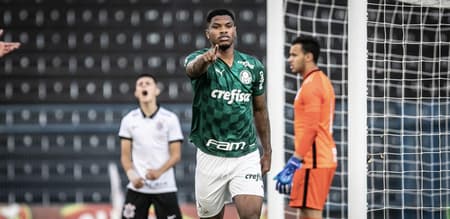 Newton Palmeiras